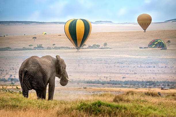 Masa Mara balloon safari_